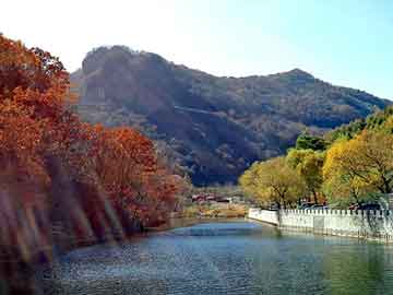 新澳天天开奖资料大全旅游团，格力犬交易区